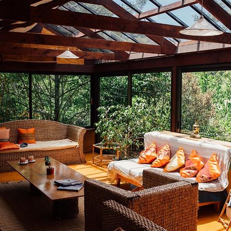 Kawai Purapura Yoga Retreat Centre Hotel Auckland Ngoại thất bức ảnh
