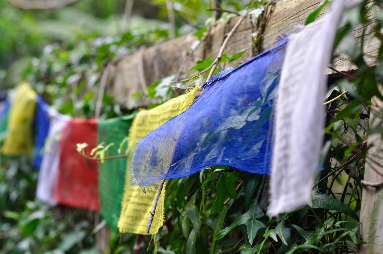 Kawai Purapura Yoga Retreat Centre Hotel Auckland Ngoại thất bức ảnh