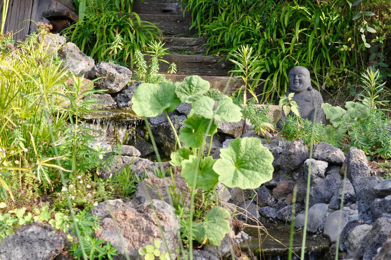 Kawai Purapura Yoga Retreat Centre Hotel Auckland Ngoại thất bức ảnh