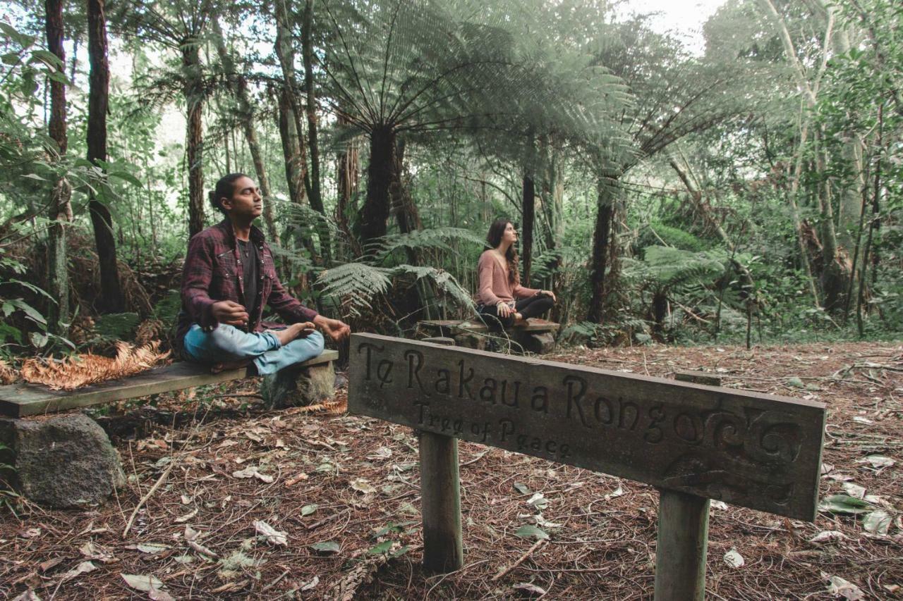 Kawai Purapura Yoga Retreat Centre Hotel Auckland Ngoại thất bức ảnh