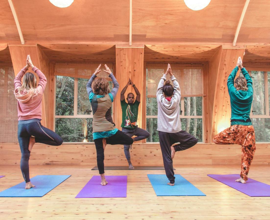 Kawai Purapura Yoga Retreat Centre Hotel Auckland Ngoại thất bức ảnh