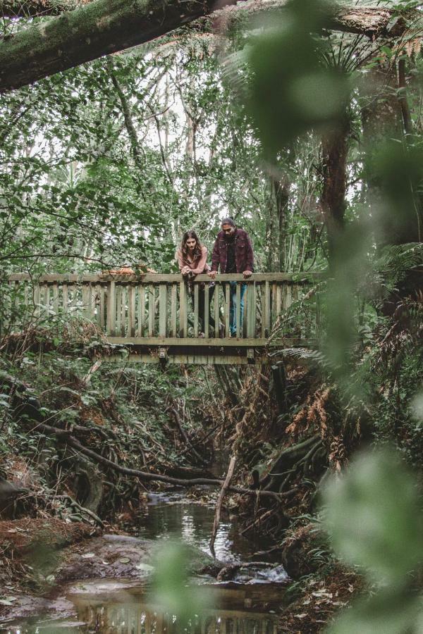 Kawai Purapura Yoga Retreat Centre Hotel Auckland Ngoại thất bức ảnh