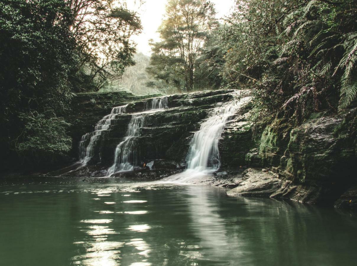 Kawai Purapura Yoga Retreat Centre Hotel Auckland Ngoại thất bức ảnh