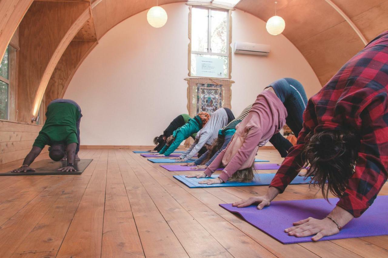 Kawai Purapura Yoga Retreat Centre Hotel Auckland Ngoại thất bức ảnh